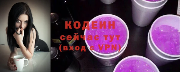 спиды Богданович