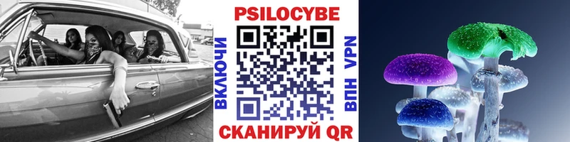 что такое наркотик  Калининец  Псилоцибиновые грибы Psilocybe 